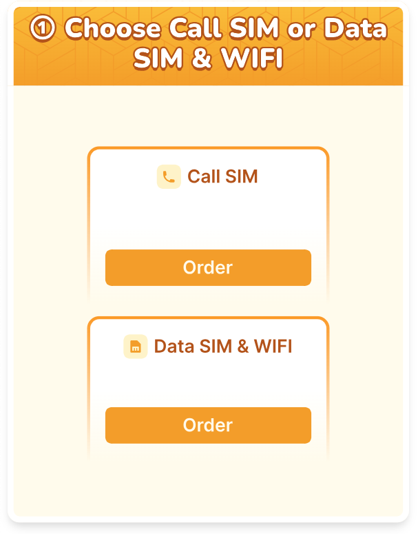 sim card and wifi in japan
